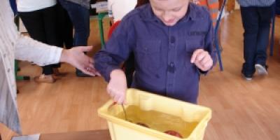 12 października obchodziliśmy DZIEŃ JABŁKA