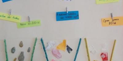 AKCJA SEGREGACJA