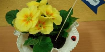 Dzień Babci Dzień Dziadka