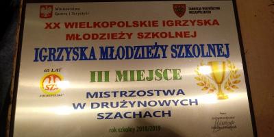 IGRZYSKA MŁODZIEŻY SZKOLNEJ