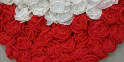 "Jeszcze Polska nie zginęła,kiedy my żyjemy"