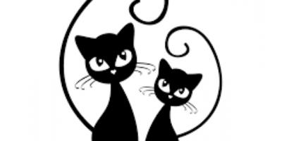 Konkurs Plastyczny "Mam kota"