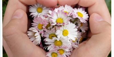 My za kwiatki dziękujemy, Michalinkę ratujemy!