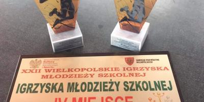 FINAŁ WOJEWÓDZKI W PLAŻOWEJ PIŁCE SIATKOWEJ DZIEWCZĄT