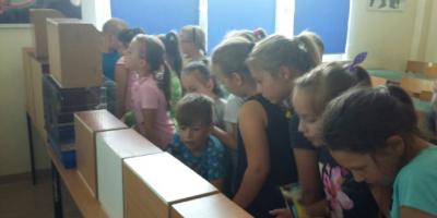 Pokaz ptaków egzotycznych