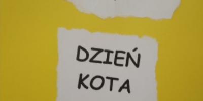 Zbiórka karmy dla kotów zakończona