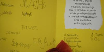 Zbiórka karmy dla kotów zakończona